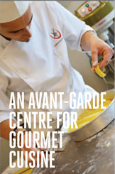 Cuisine Courses for Professionals and Foodies