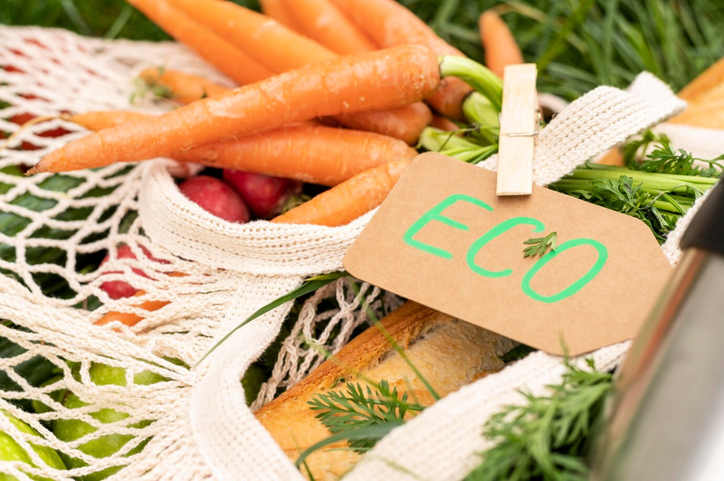 Ecosostenibilitï¿½ nel 2025: ottimizzare per innovare