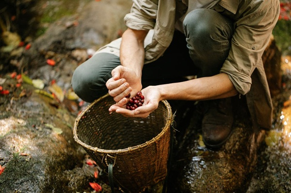 Dalla natura alla tavola: creazioni culinarie del territorio