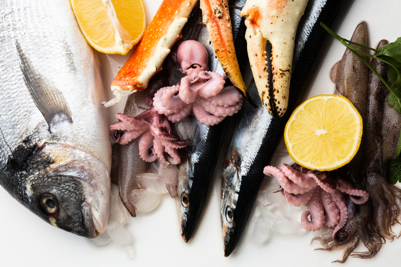 Il pesce a 360 gradi