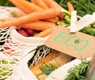 Ecosostenibilit nel 2025: ottimizzare per innovare