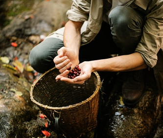 Dalla natura alla tavola: creazioni culinarie del territorio